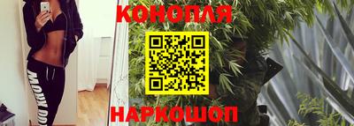 спиды Будённовск