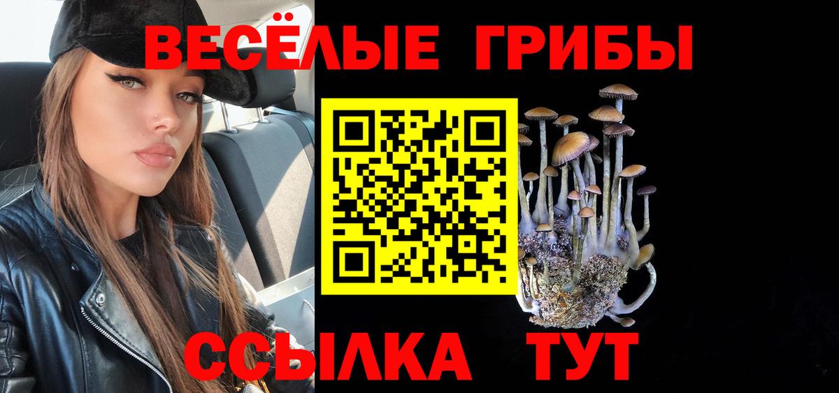 Псилоцибиновые грибы Cubensis  Вход с VPN  Тимашёвск 